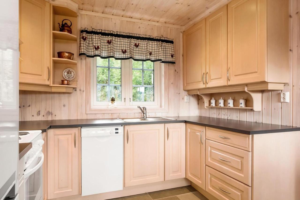 Reveenka - Cabin In Trysil With Jacuzzi For Rent Екстериор снимка