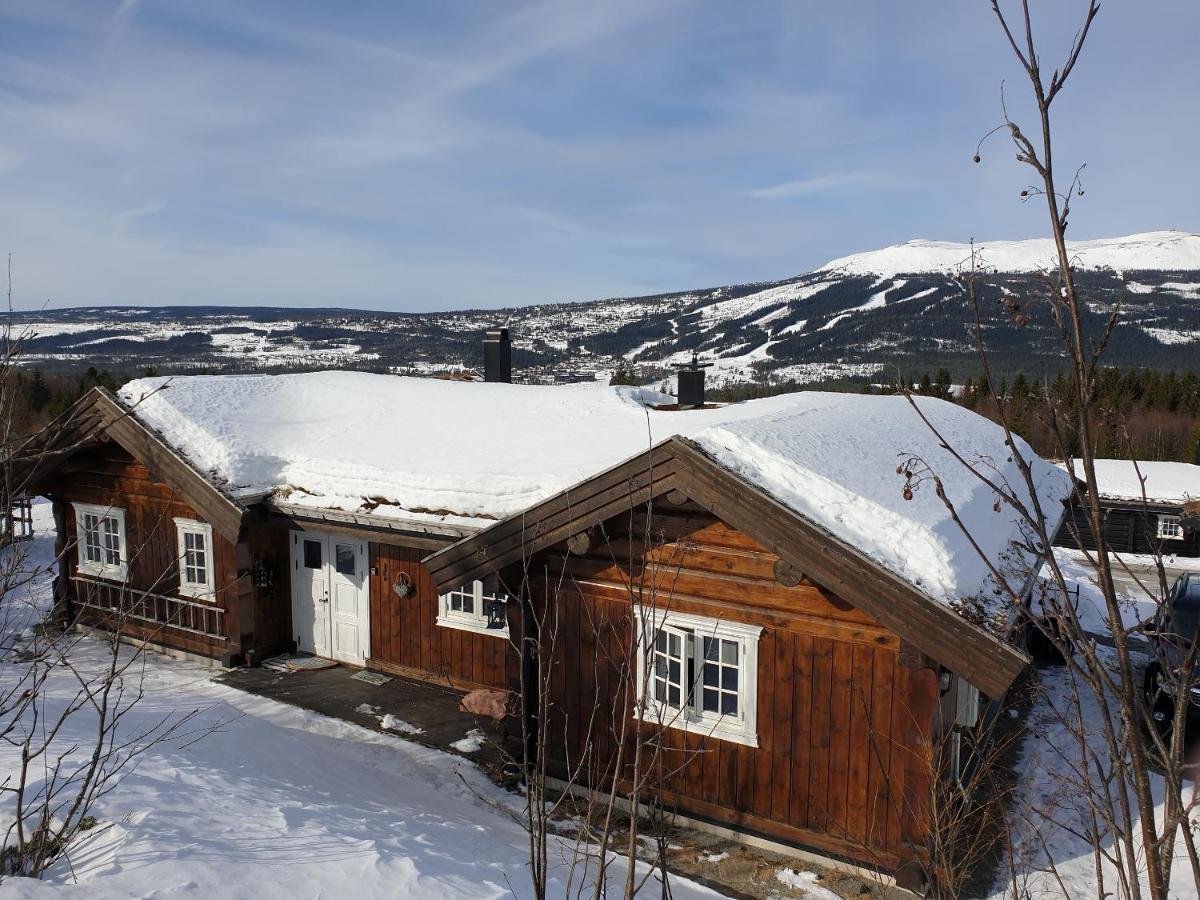 Reveenka - Cabin In Trysil With Jacuzzi For Rent Екстериор снимка