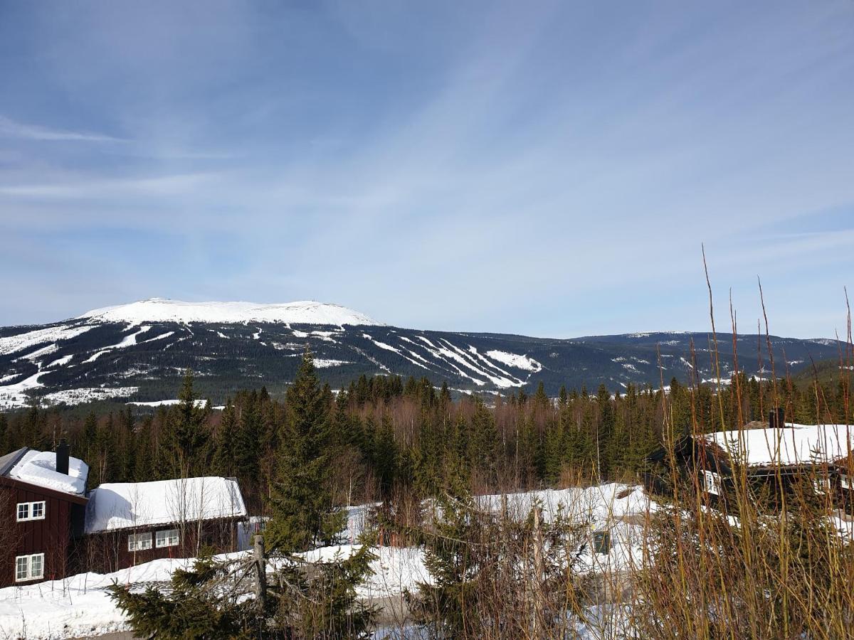 Reveenka - Cabin In Trysil With Jacuzzi For Rent Екстериор снимка
